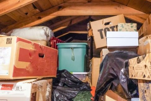 DeWatermark.ai_1752600797772